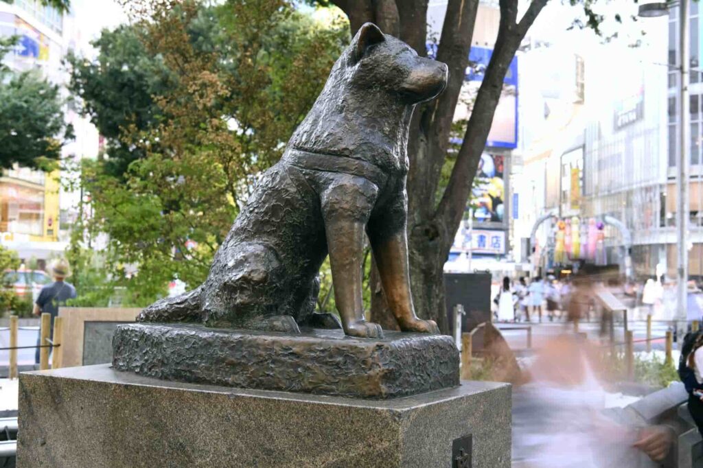 Hachiko's bronze statue