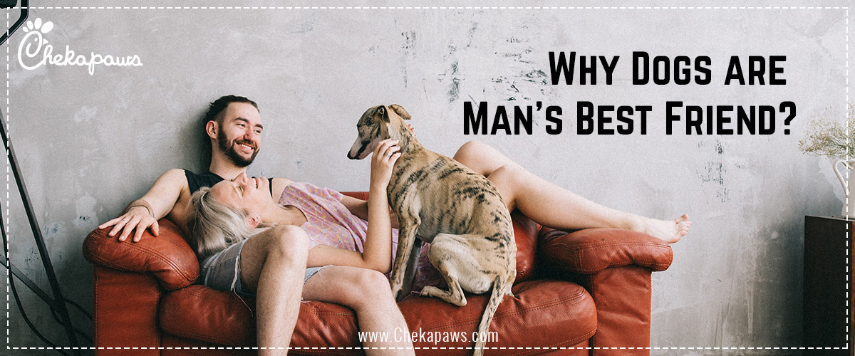 Why Dogs are Man’s Best Friend