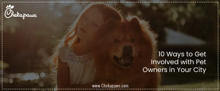 10 Ways to Get Involved with Pet Owners in Your City