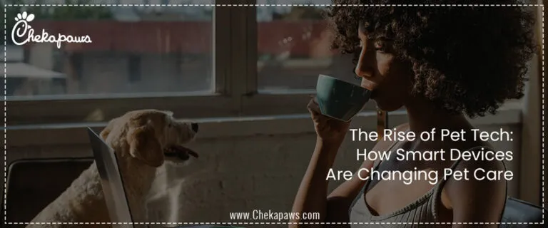 The-rise-of-the-pet-tech-how-smart-devices-are-changing-pet-care.