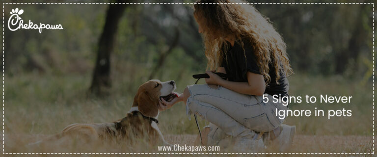 5 Signs to never ignore in pets