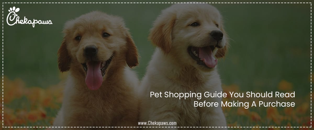 Pet Shopping Guides You Should Read Before Making A Purchase 