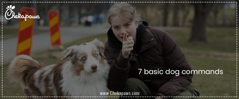 7 basic dog commands