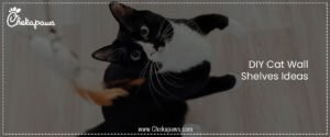 DIY Cat Wall Shelves Ideas