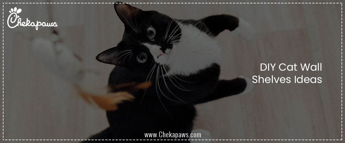 DIY Cat Wall Shelves Ideas