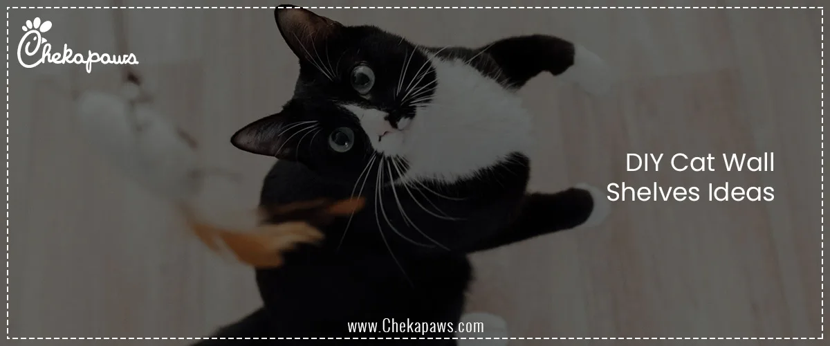 DIY Cat Wall Shelves Ideas