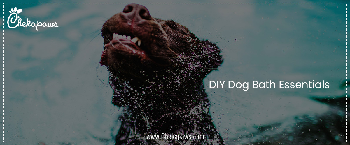 DIY Dog Bath Essentials