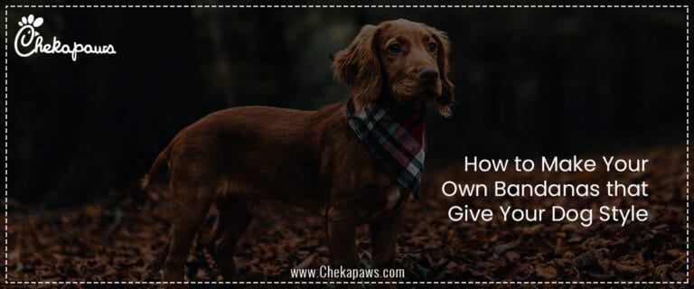 How to Make Your Own Bandanas that Give Your Dog Style