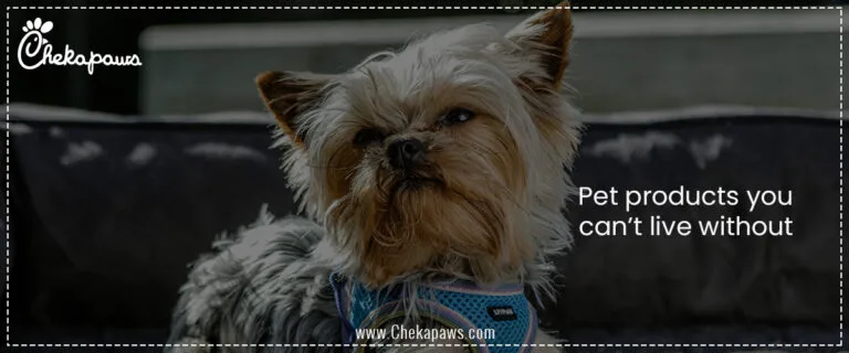 Pet products you can’t live without