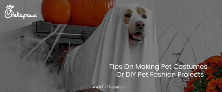 Tips On Making Pet Costumes Or DIY Pet Fashion Projects