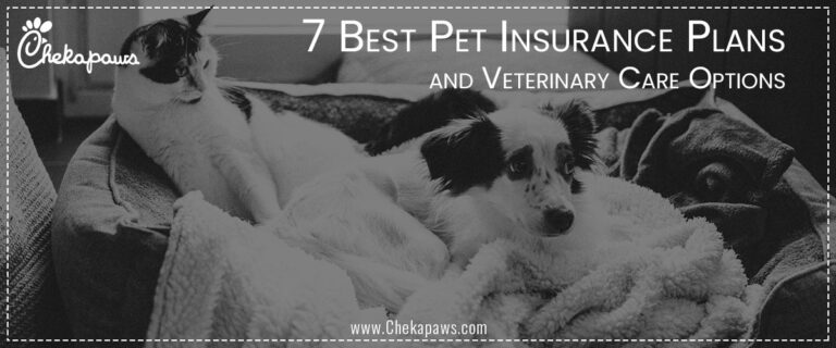 7 Best Pet Insurance Plans And Veterinary Care Options