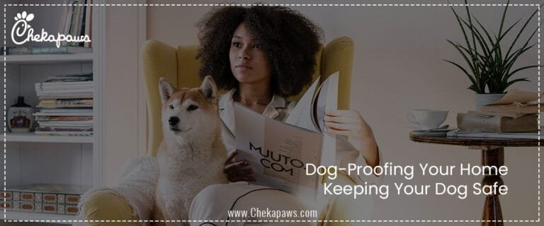Dog-Proofing Your Home: Keeping Your Dog Safe