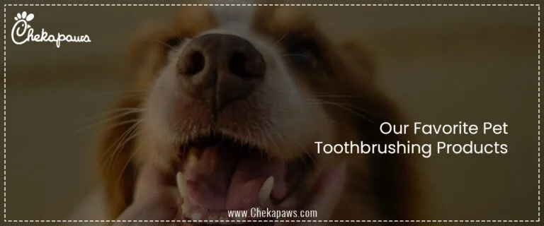 Our Favorite Pet Toothbrushing Products