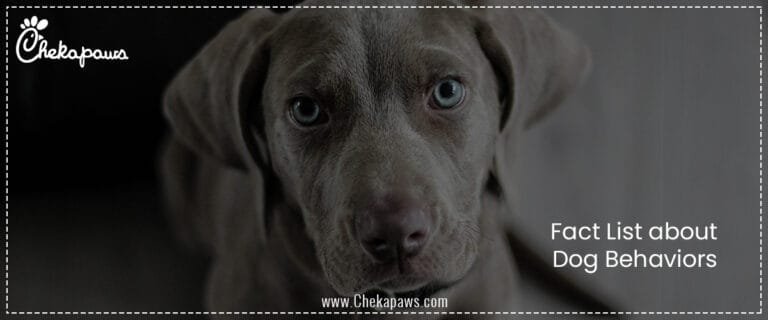 Fact List about Dog Behaviors