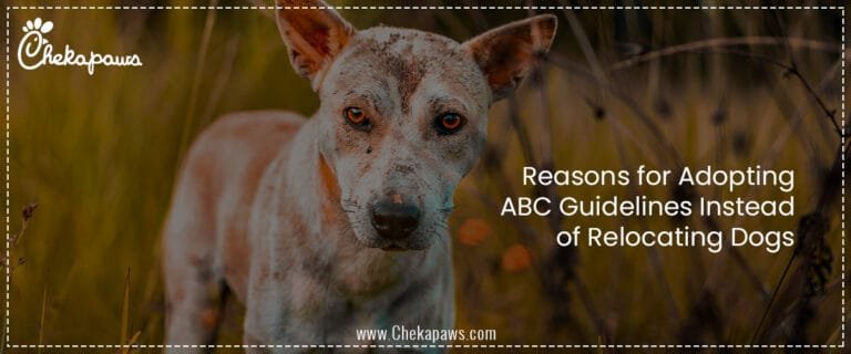 Reasons for Adopting ABC Guidelines Instead of Relocating Dogs
