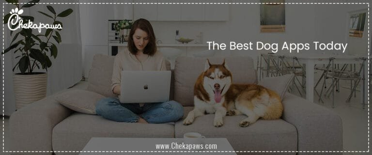 The Best Dog Apps Today