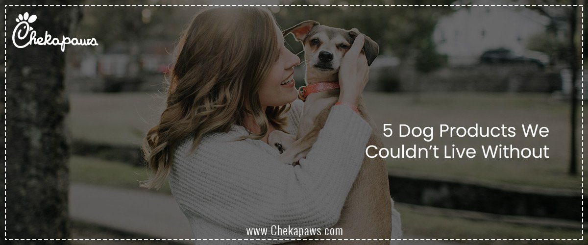 5 Dog Products We Couldn’t Live Without