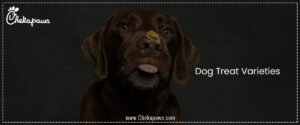 Dog Treat Varieties