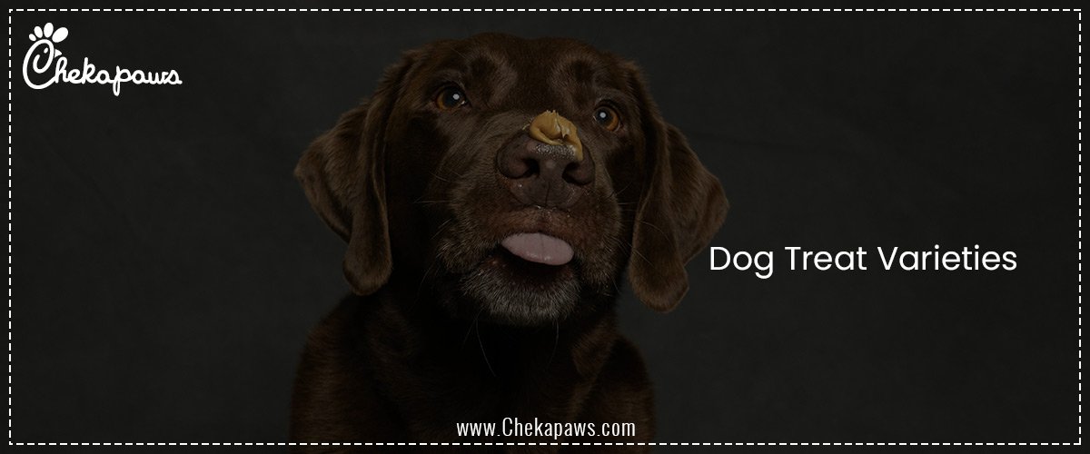 Dog Treat Varieties