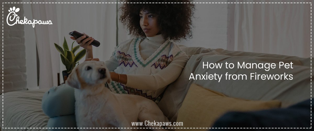 How to Manage Pet Anxiety from Fireworks