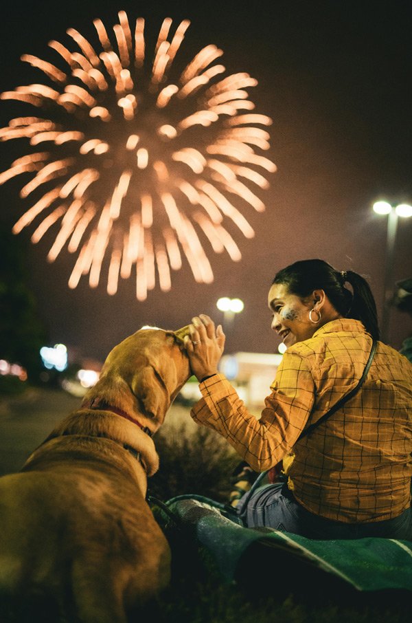 How to Manage Pet Anxiety from Fireworks
