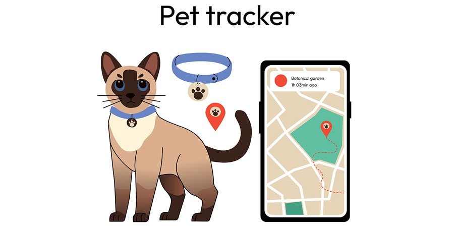 Cat tracking illustration