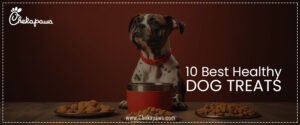 10 Best Healthy Dog Treats