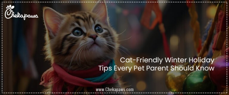 Cat-Friendly Winter Holiday Tips Every Pet Parent Should Know