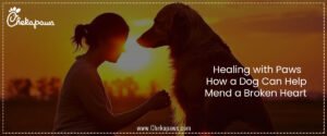 Healing with Paws: How a Dog Can Help Mend a Broken Heart