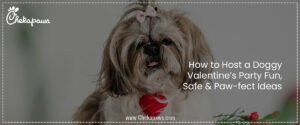 How to Host a Doggy Valentine’s Party: Fun, Safe & Paw-fect Ideas