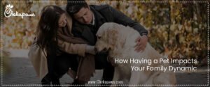 How Having a Pet Impacts Your Family Dynamic