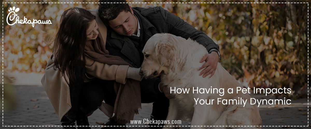 How Having a Pet Impacts Your Family Dynamic