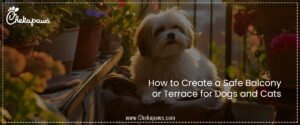 How to Create a Safe Balcony or Terrace for Dogs and Cats
