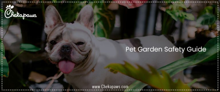 Pet Garden Safety Guide Introducing Outdoor Spaces Without Risks