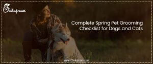 Complete Spring Pet Grooming Checklist for Dogs and Cats