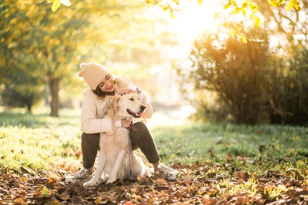What Makes Dogs Trust Humans 