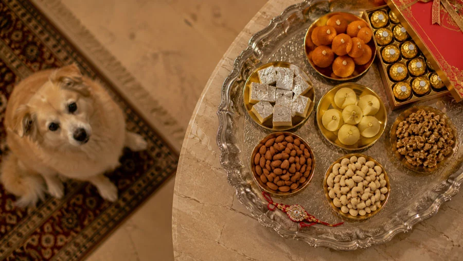 The Science of Sweet Poisoning: Mithai, Chocolate and Hidden Toxins